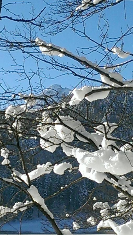 Fw Weissensee 44 福森 外观 照片