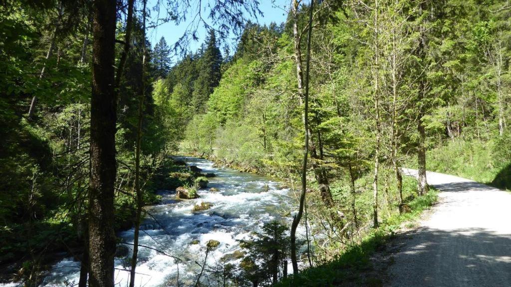 Fw Weissensee 44 福森 外观 照片