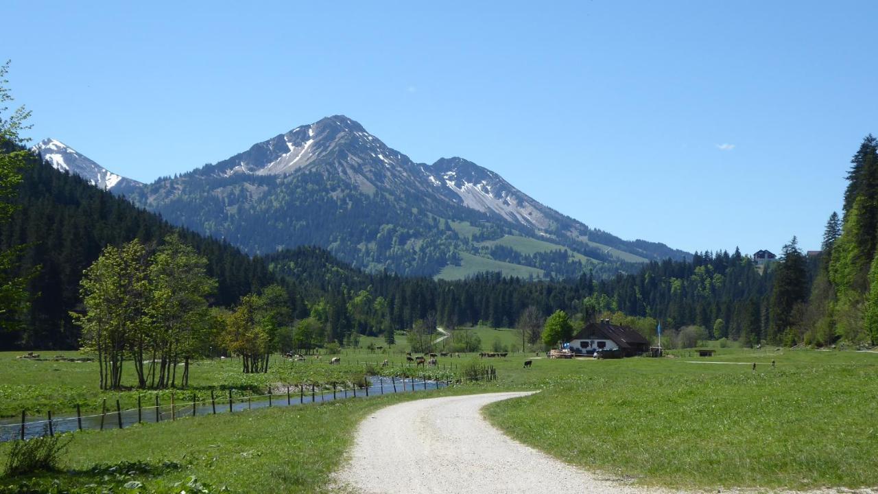 Fw Weissensee 44 福森 外观 照片