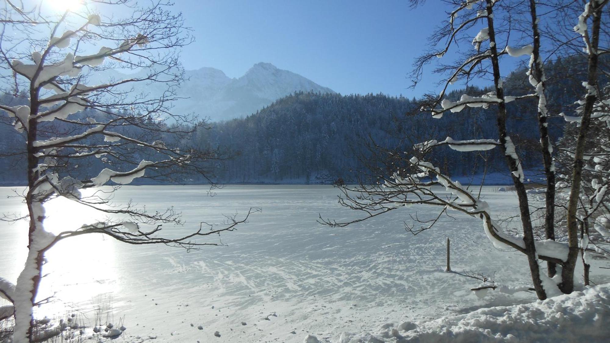 Fw Weissensee 44 福森 外观 照片